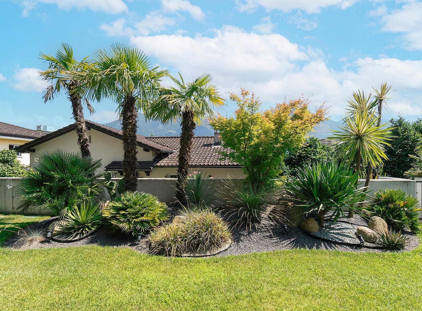 Logo Item
